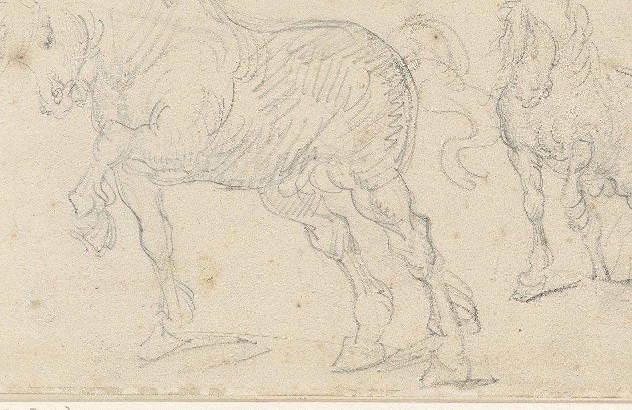 Estudios sobre caballos de Theodore Gericault