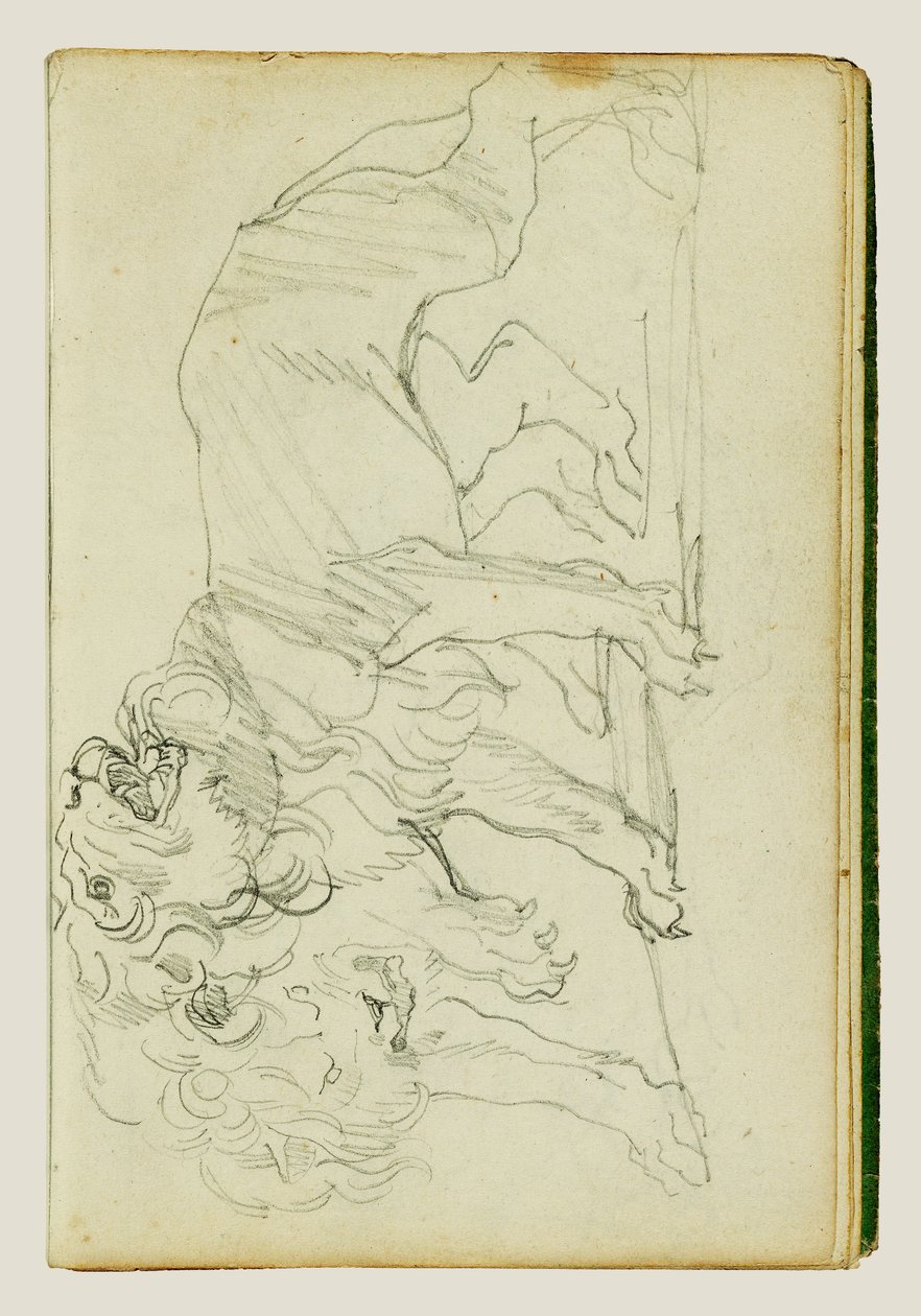 Pareja de leones de Theodore Gericault