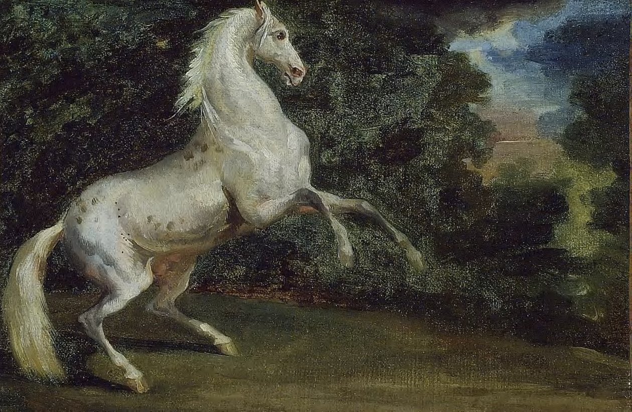 Caballo Rampante de Theodore Gericault