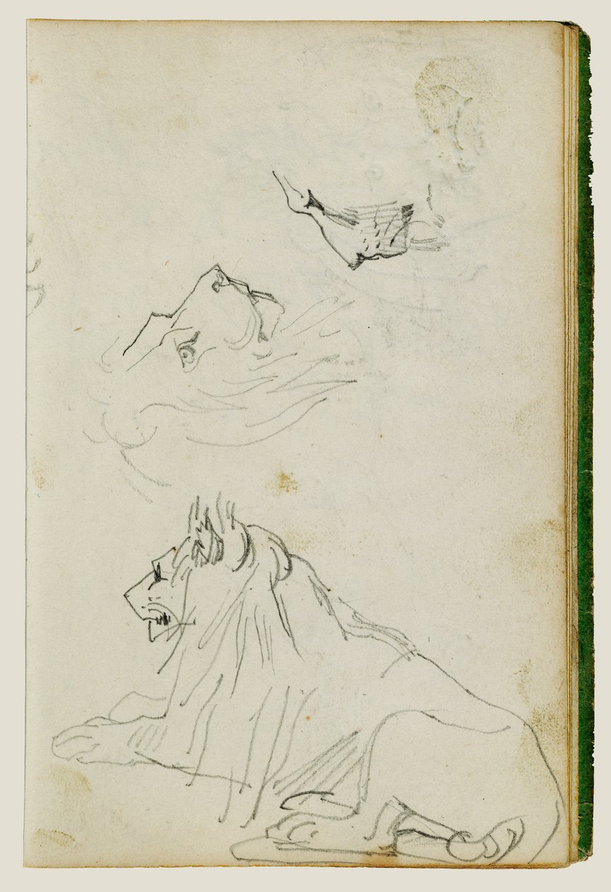 León sentado, dos bocetos de cabezas de león de Theodore Gericault