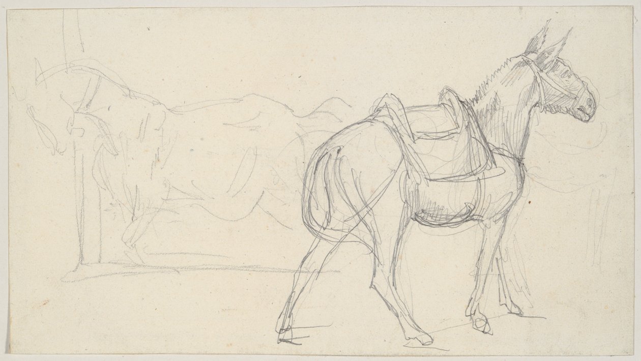 Boceto de un caballo de Theodore Gericault