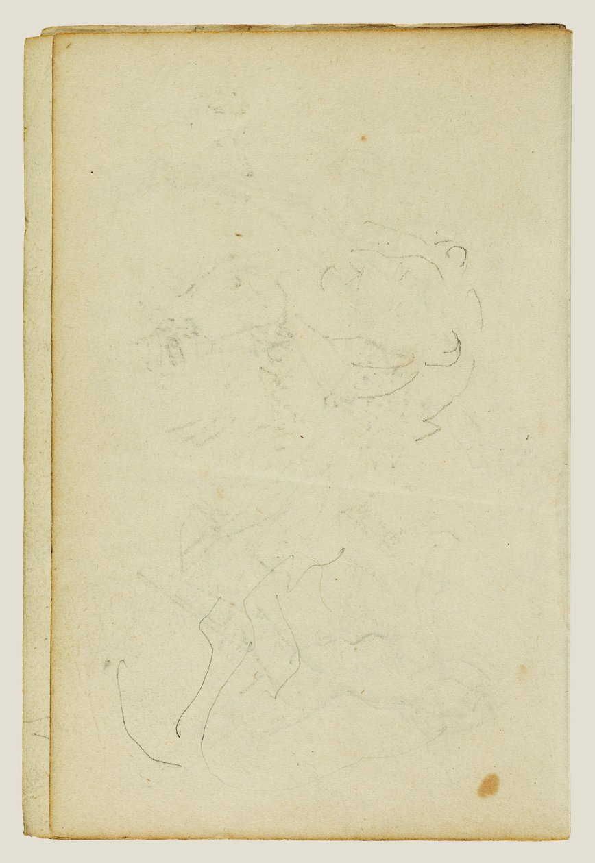 Bocetos de la cabeza y las patas traseras de un león de Theodore Gericault
