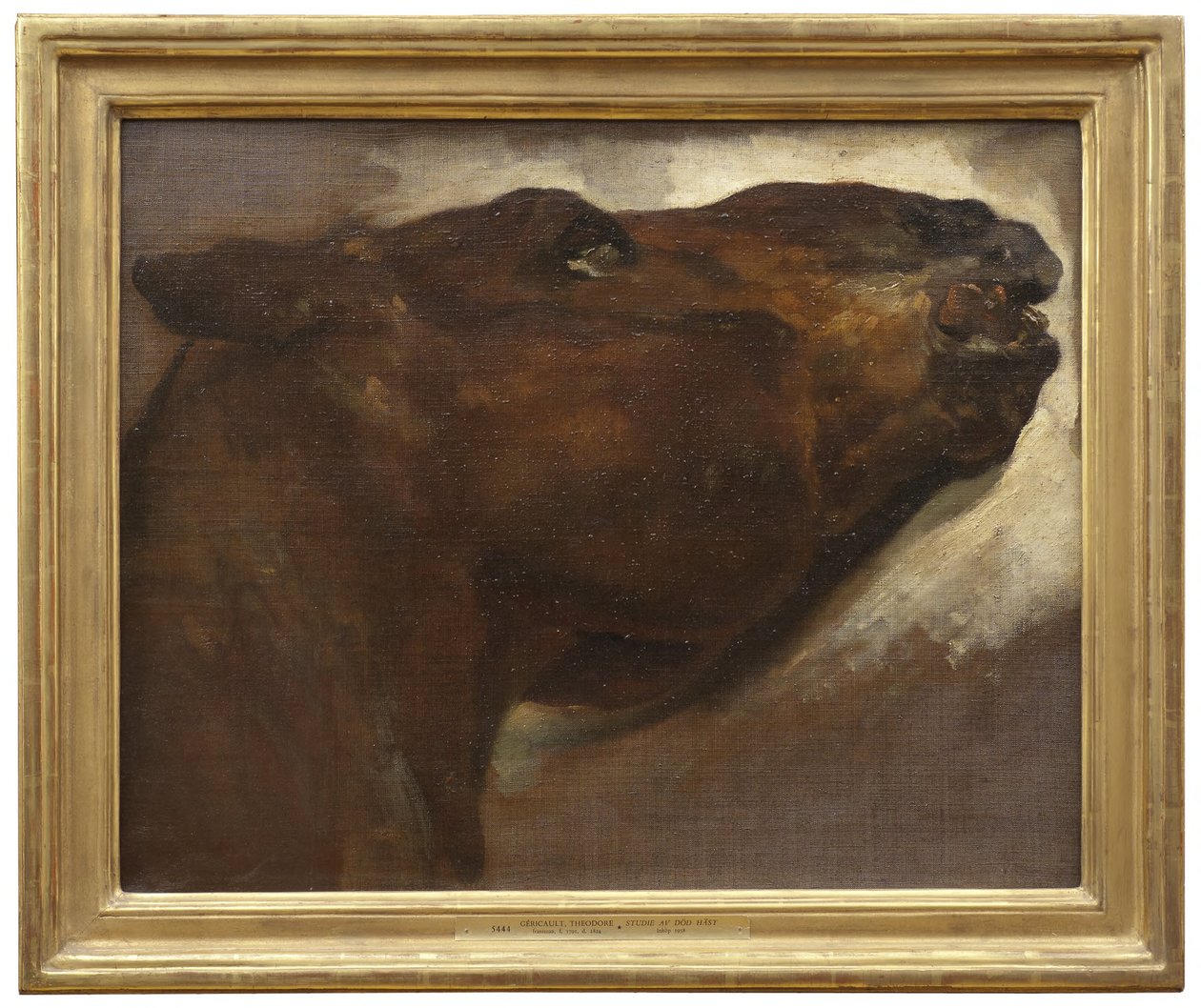 Estudio de un caballo muerto de Theodore Gericault