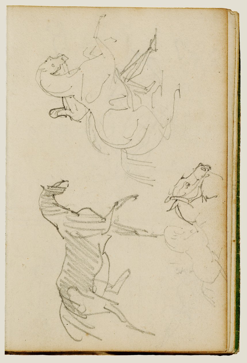 Tres estudios sobre caballos de Theodore Gericault