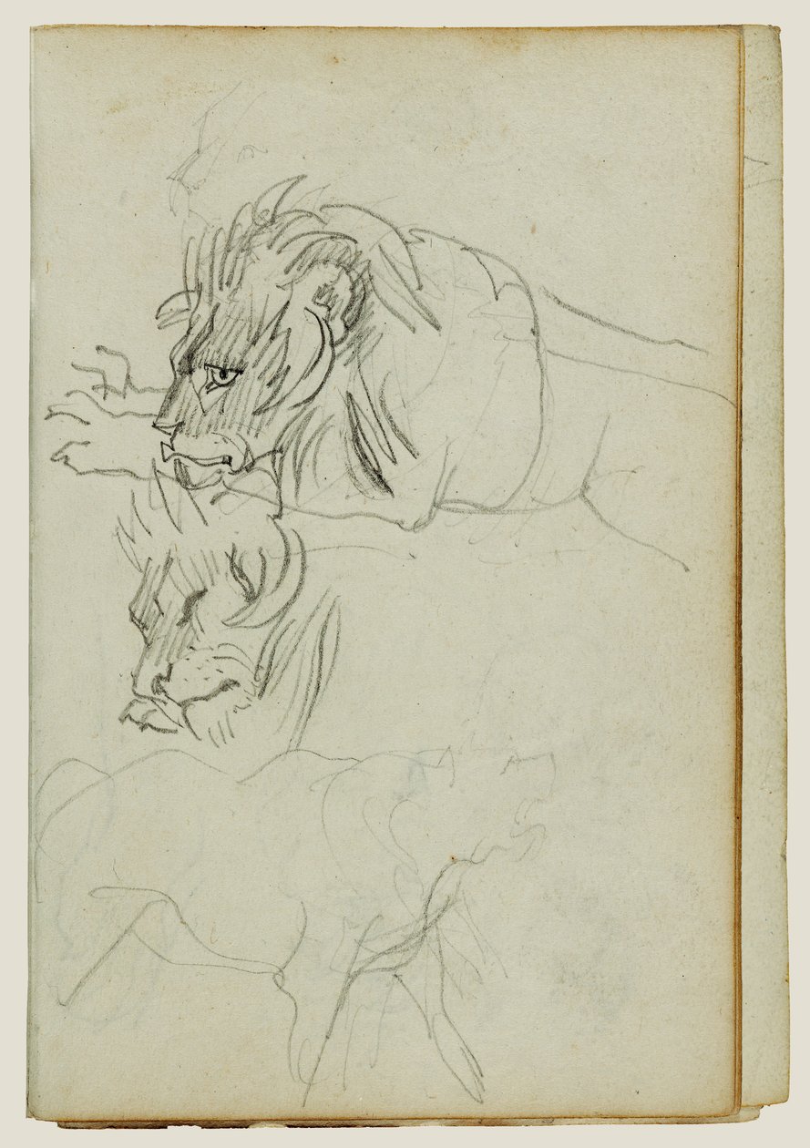 Tres estudios sobre leones de Theodore Gericault