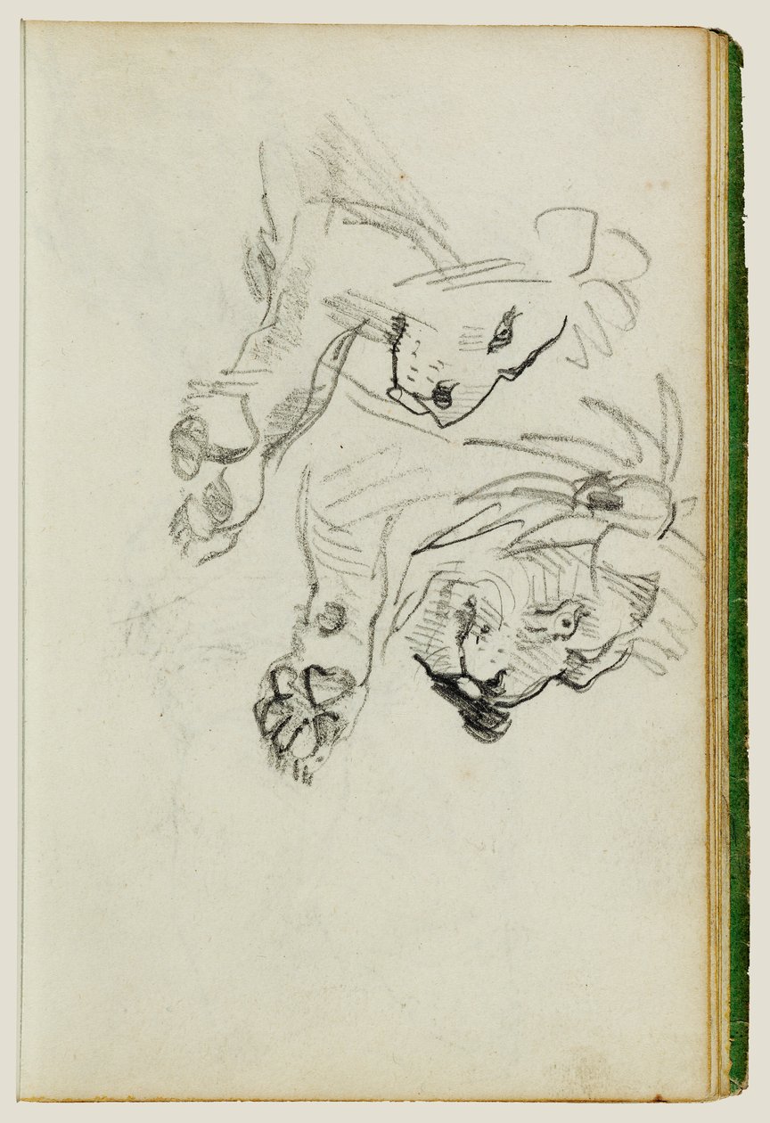 Dos estudios sobre los leones de Theodore Gericault