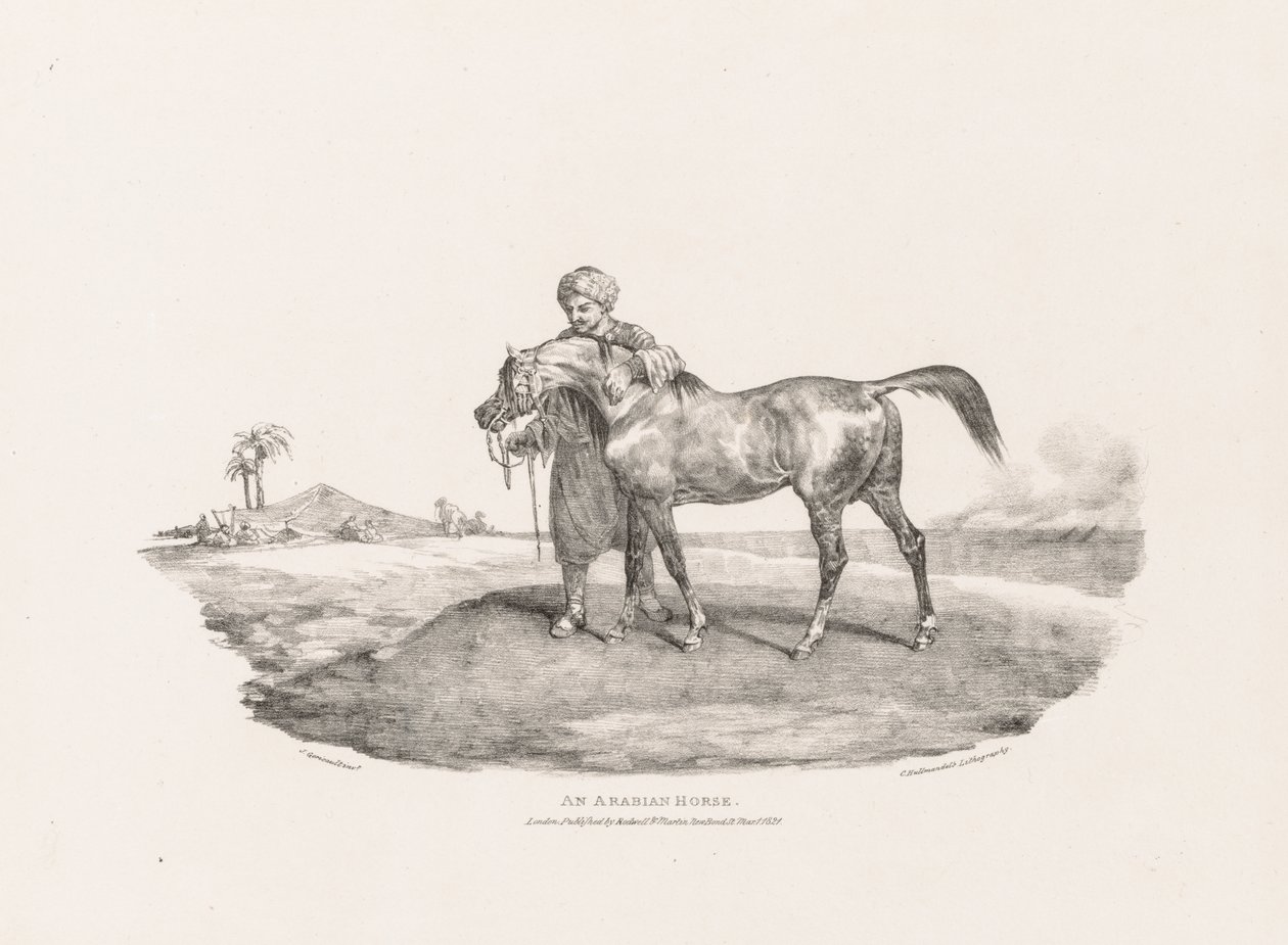 Diversos motivos dibujados del natural y sobre piedra: un caballo árabe de Theodore Gericault