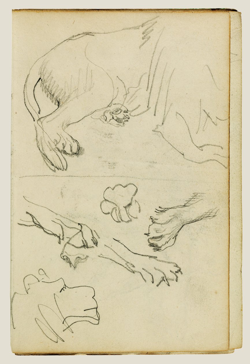 Varios estudios de pata, patas y cabeza de león de Theodore Gericault