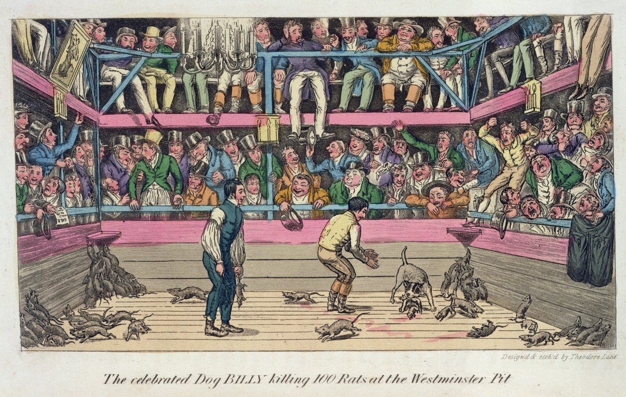 El célebre perro Billy mata 100 ratas en el foso de Westminster, de Anecdotes, Original and Selected, Of The Turf, The Chase, The Ring, And The Stage, de Pierce Egan, publicado en 1825 (xilografía). de Theodore Lane