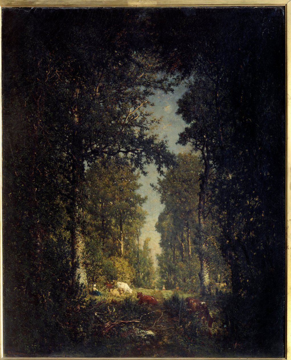 Una avenida, bosque de Isle Adam. Pintura de Théodore Rousseau (1812-1867) de Pierre Etienne Theodore Rousseau