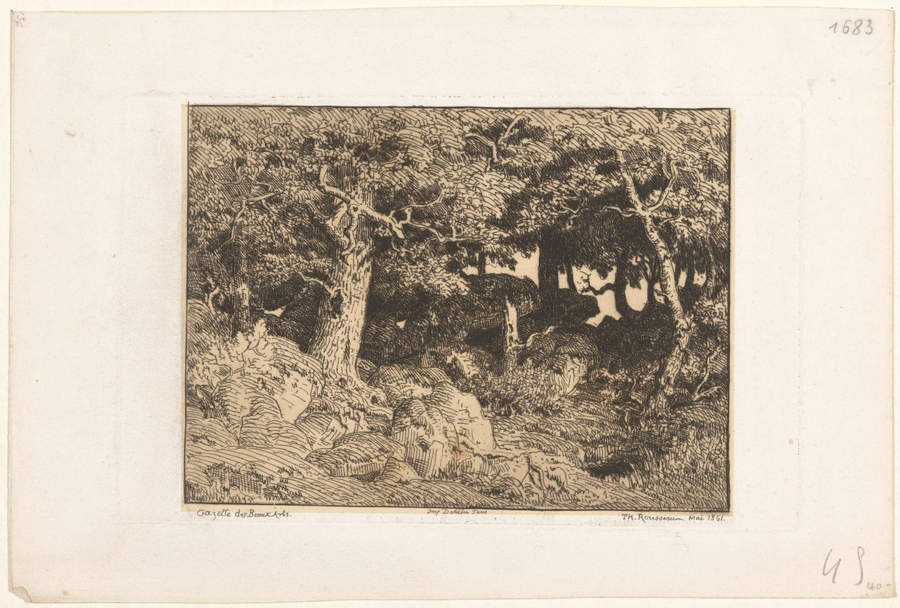 Robles sobre rocas Chenes de Roche (título original) de Theodore Rousseau