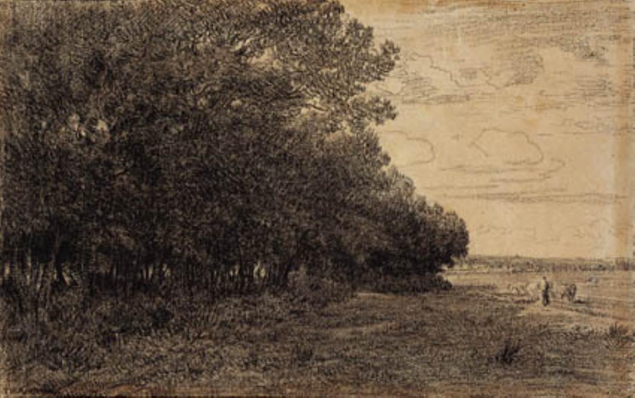 Un pequeño grupo de altos árboles en el bosque de Macherin de Theodore Rousseau