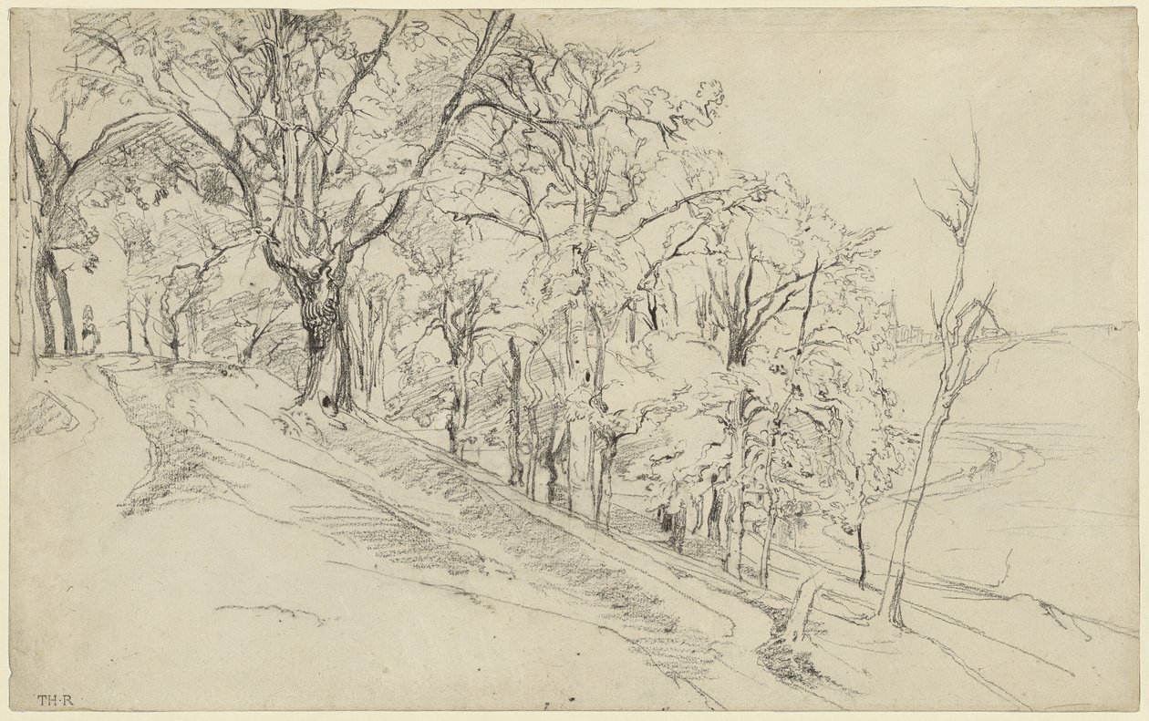 Bosque en Boisrémond (anverso); Cabaña en un bosque (reverso) de Theodore Rousseau