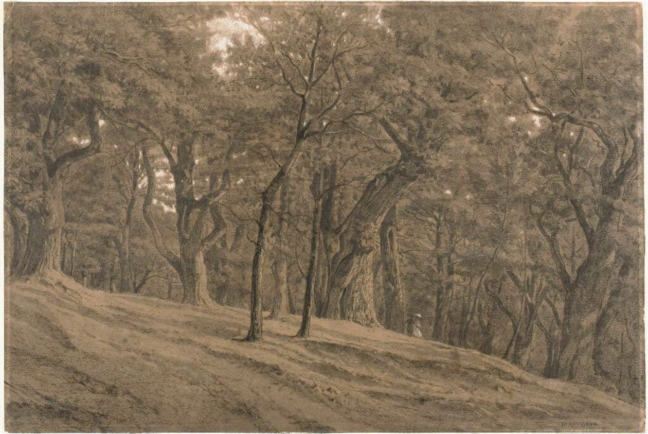 En el bosque de Fontainbleau de Theodore Rousseau