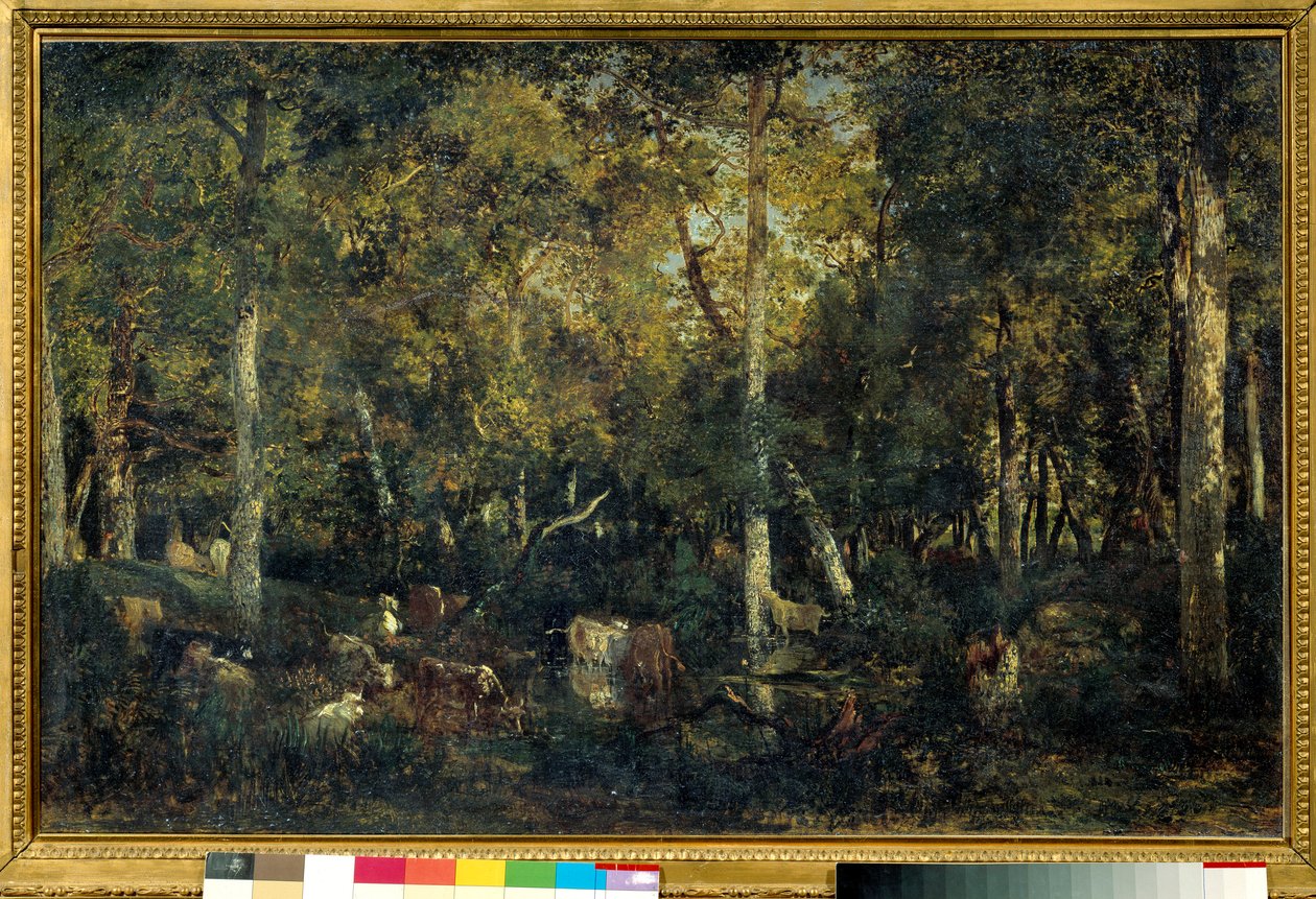 Interior del bosque llamado el Viejo Dormitorio del Bas-Breau (bosque de Fontainebleau). Pintura de Théodore Rousseau (1812-1887) de Pierre Etienne Theodore Rousseau