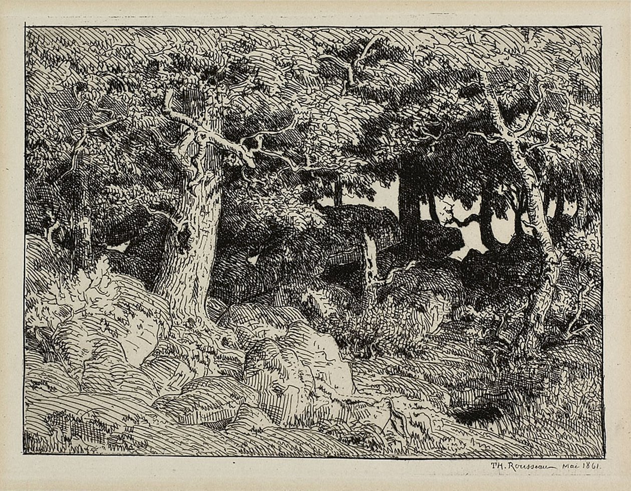 Roble desde las rocas de Theodore Rousseau