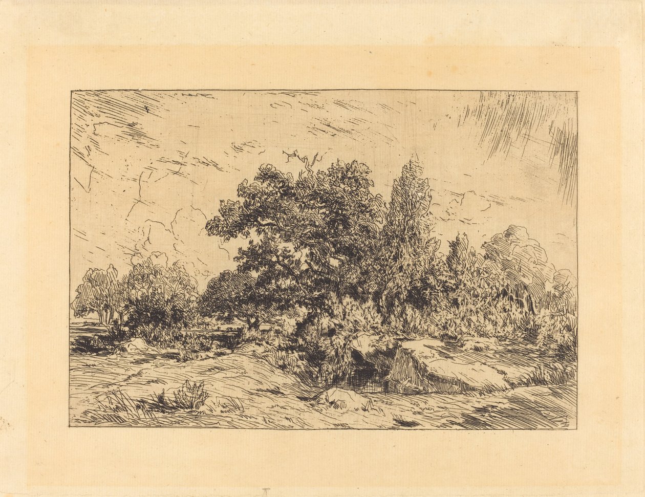 Vista del Plateau de Bellecroix de Theodore Rousseau
