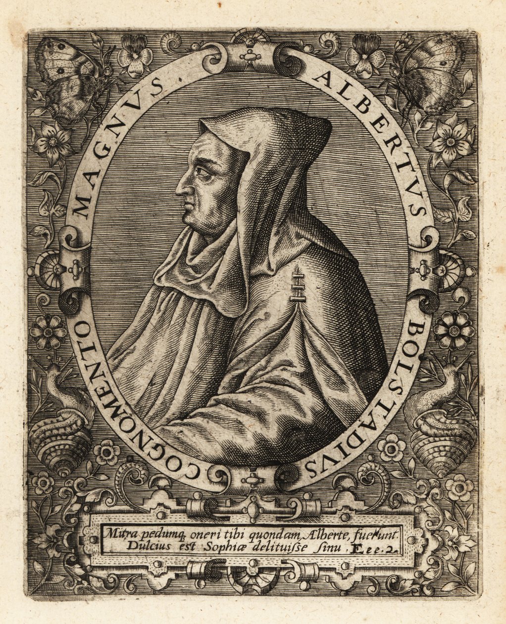 Albertus Magnus, obispo católico alemán de Theodore de Bry