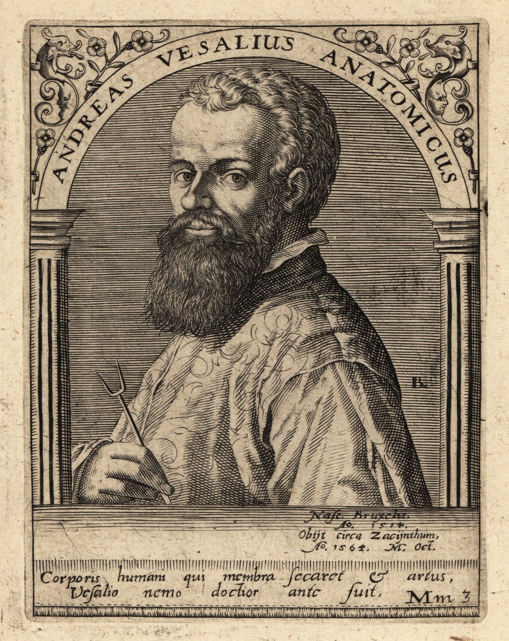 Andreas Vesalius, médico y anatomista flamenco de Theodore de Bry