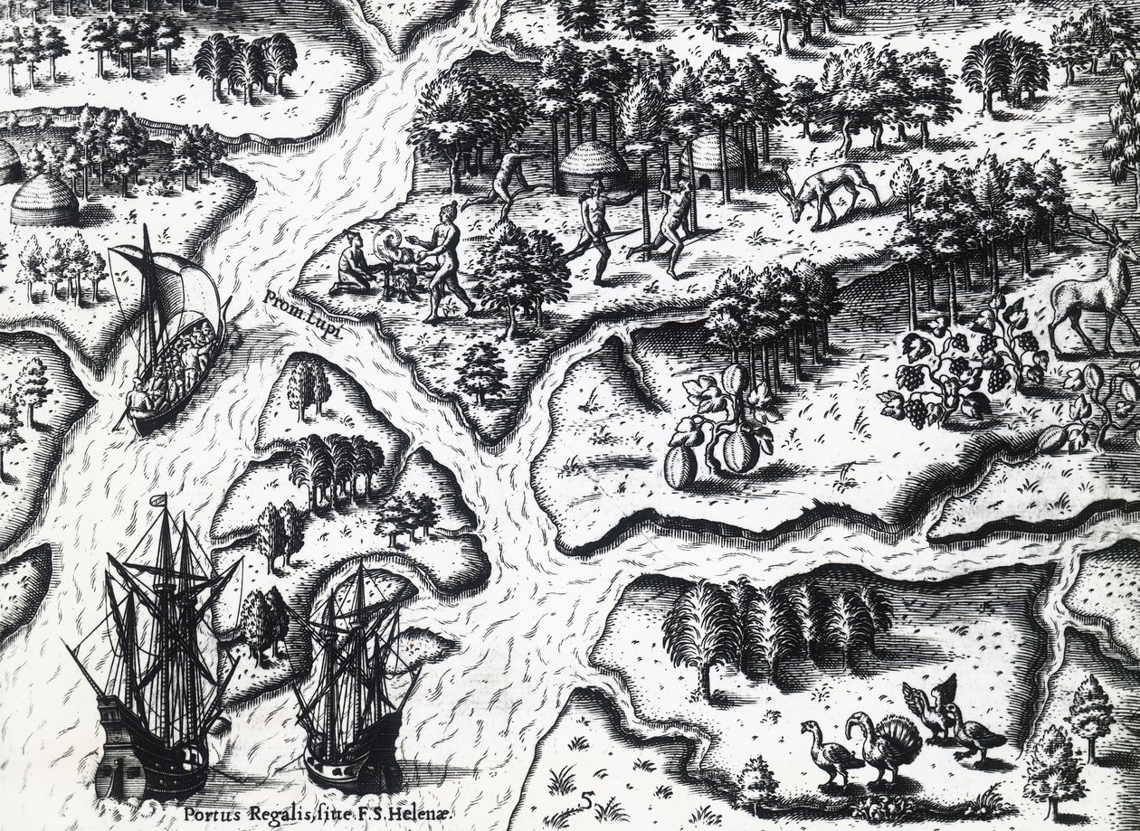 Llegada de los franceses a Port Royal en 1564, por Theodor de Bry basado en una pintura de Jacques le Moyne de Morgues, grabado de Theodore de Bry