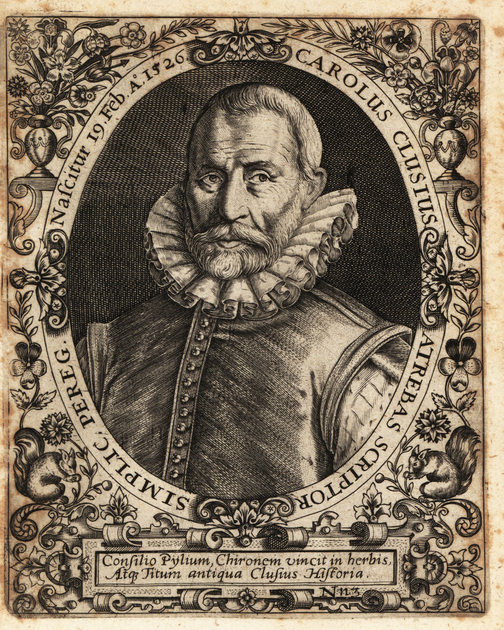 Charles de l’Ecluse, médico, botánico de Theodore de Bry