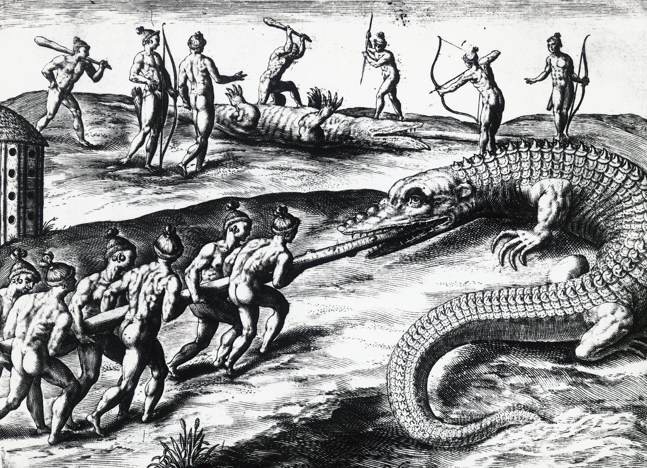 Caza de cocodrilos en Florida, de la pintura de Jacques le Moyne de Morgues, por Theodor de Bry. grabado de Theodore de Bry