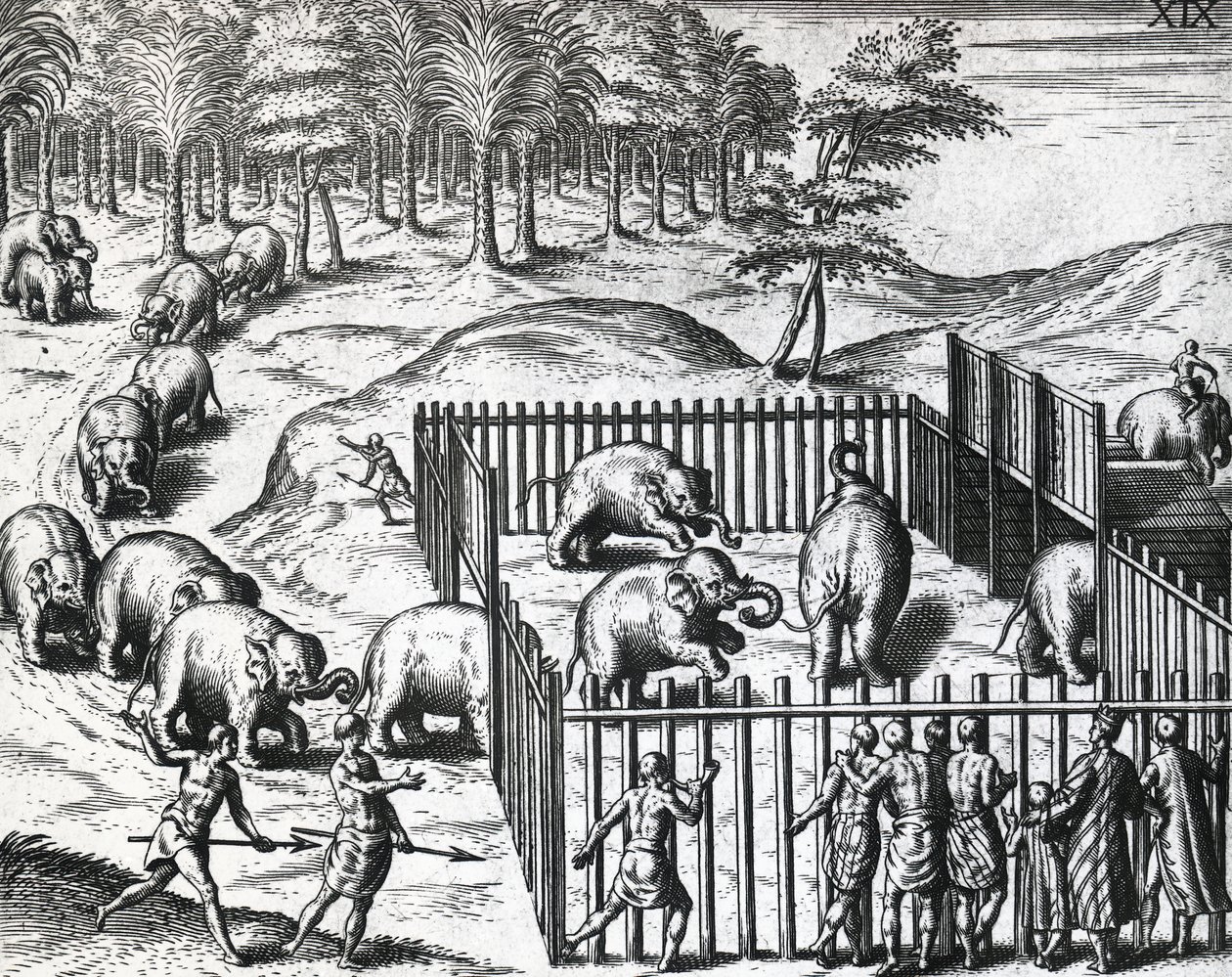Caza de elefantes en el reino de Pegu de Theodore de Bry