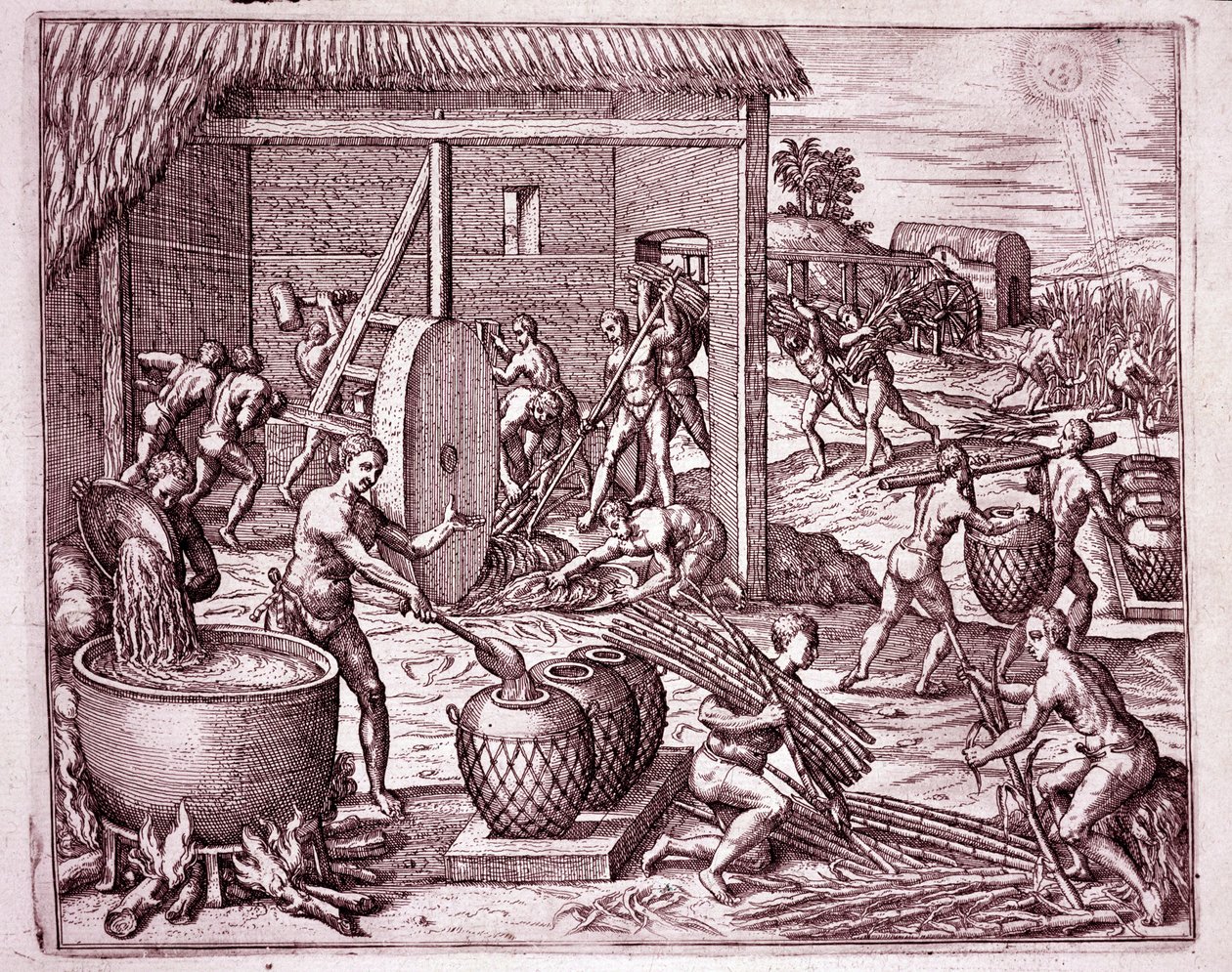Historia de América: cosecha de caña de azúcar y producción de azúcar por esclavos indios que trabajan para los conquistadores españoles (Grabado) de Theodore de Bry