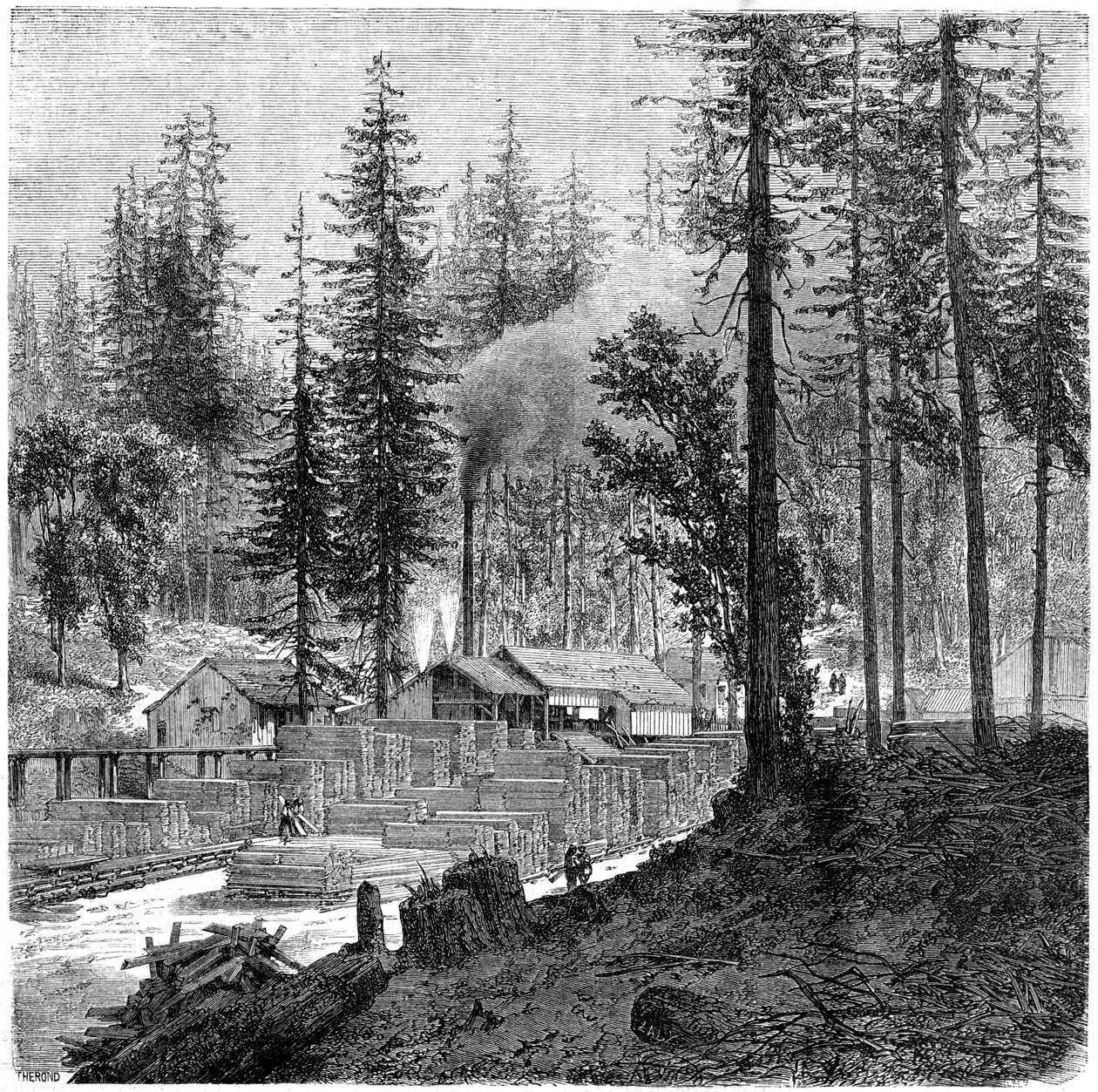 Aserradero, California, siglo XIX de Theroud