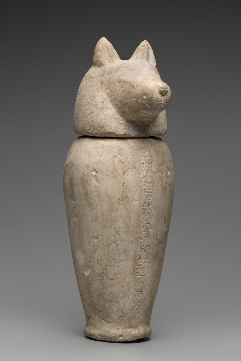 Jarro canopo con cabeza de chacal de Third Intermediate Period Egyptian