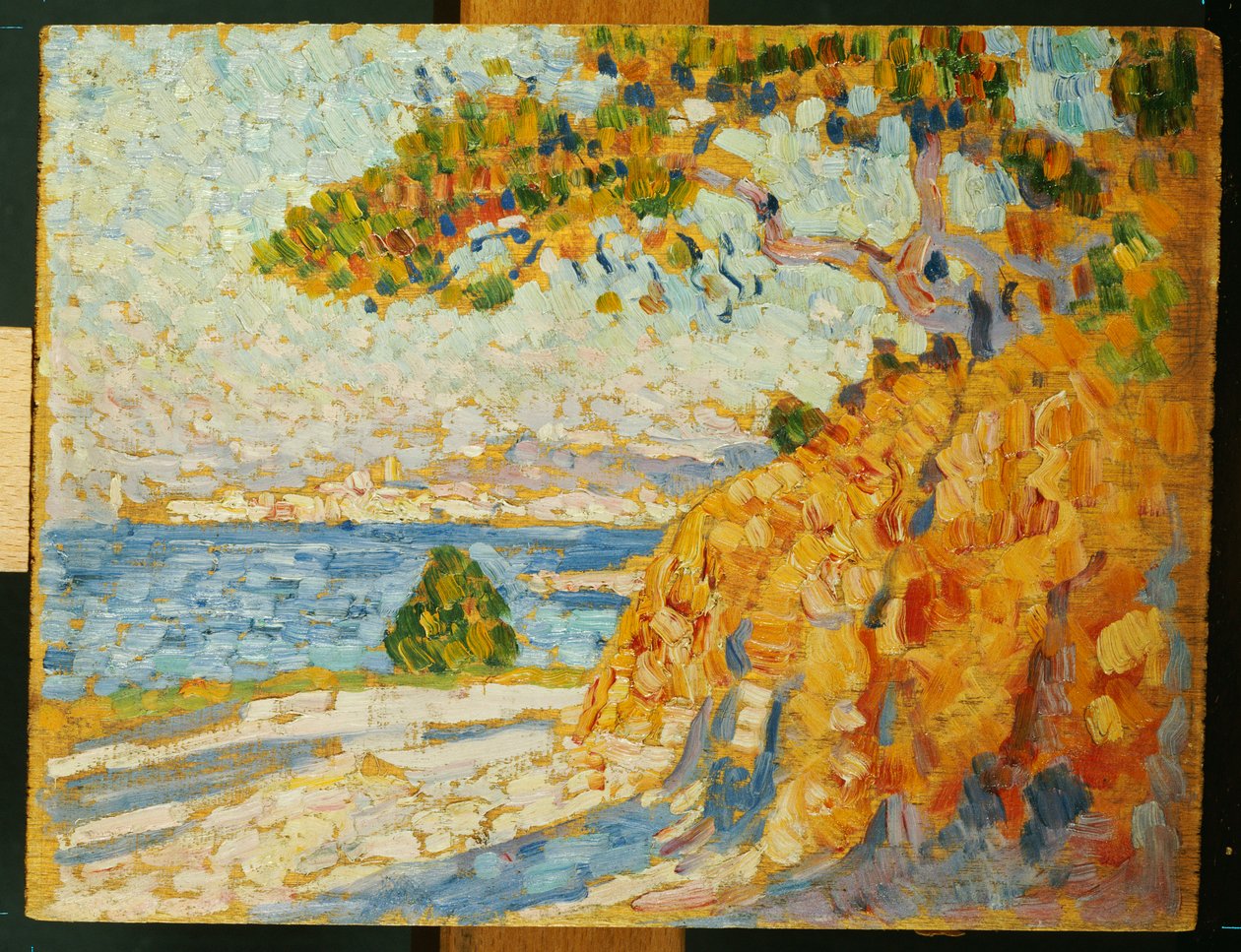 Campo al mediodía, 1895 de Théo van Rysselberghe