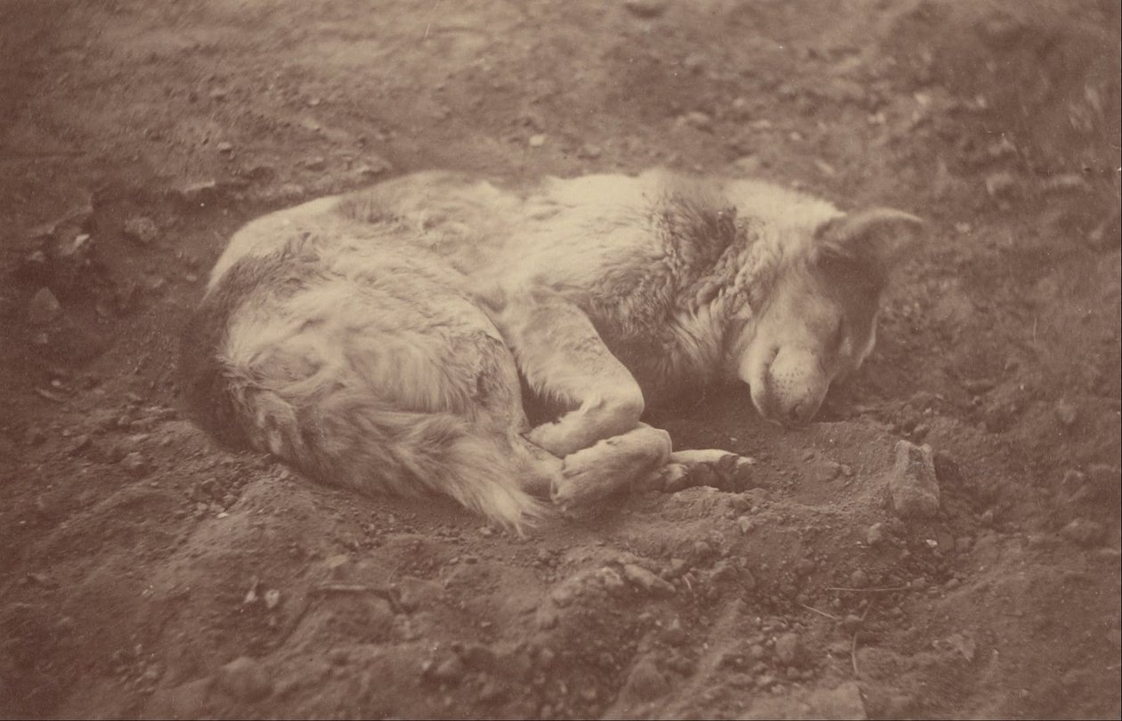 (Perro durmiendo) de Théodule Devéria