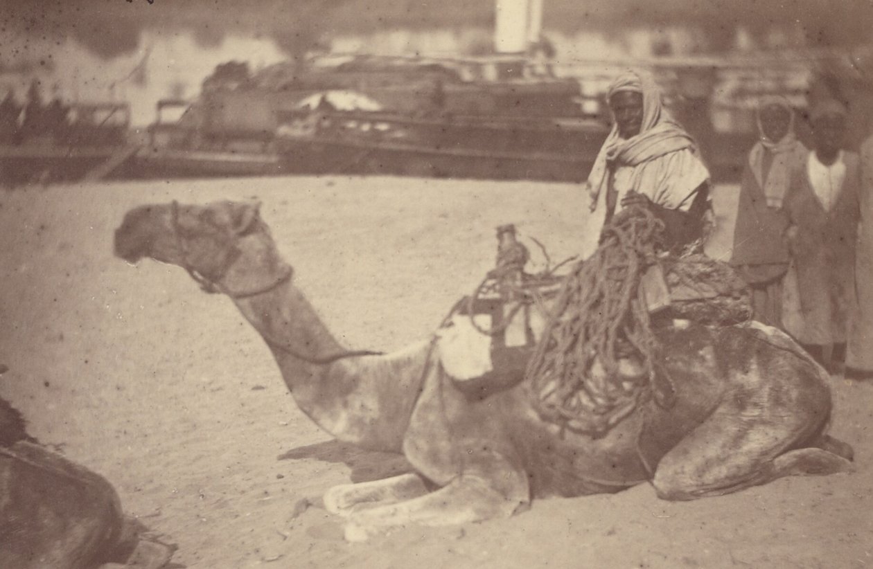 [Un norteafricano en camello a orillas del Nilo]. de Théodule Devéria