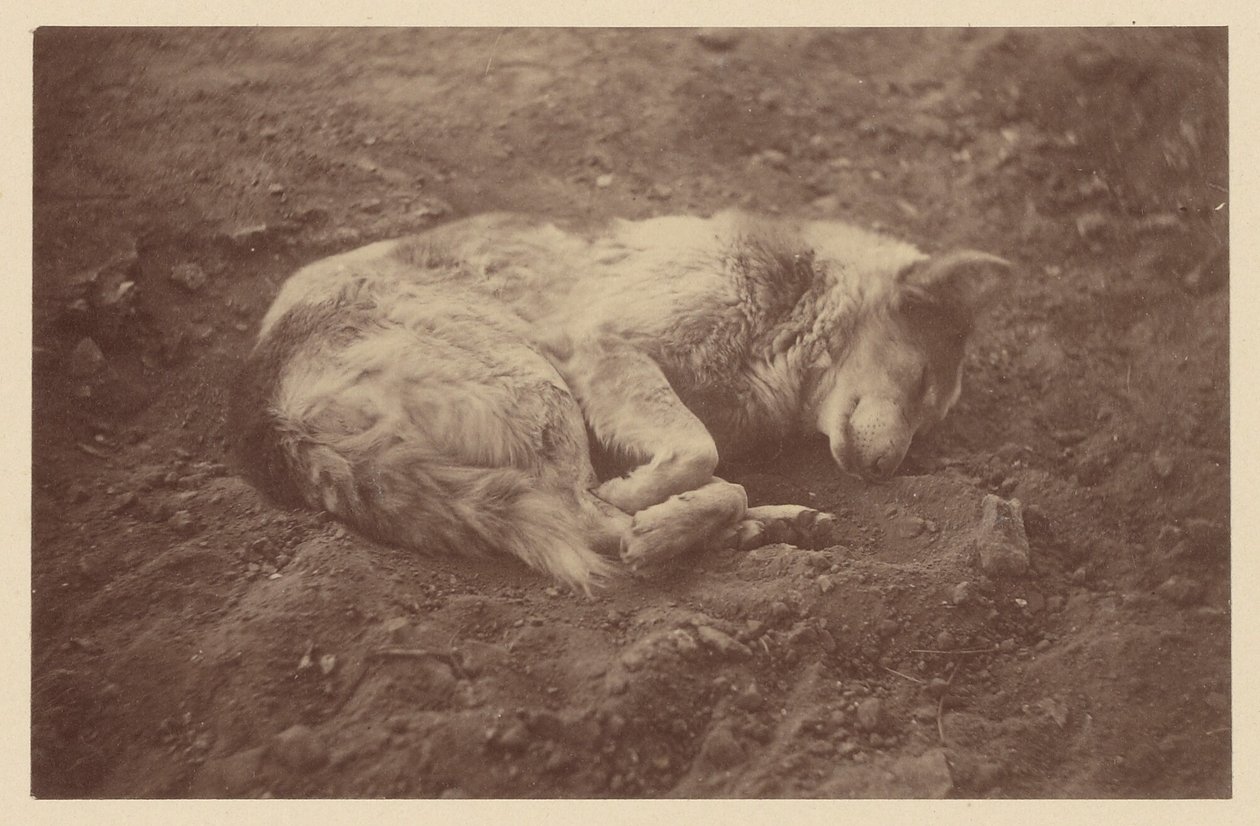 [Sleeping Dog] de Théodule Devéria