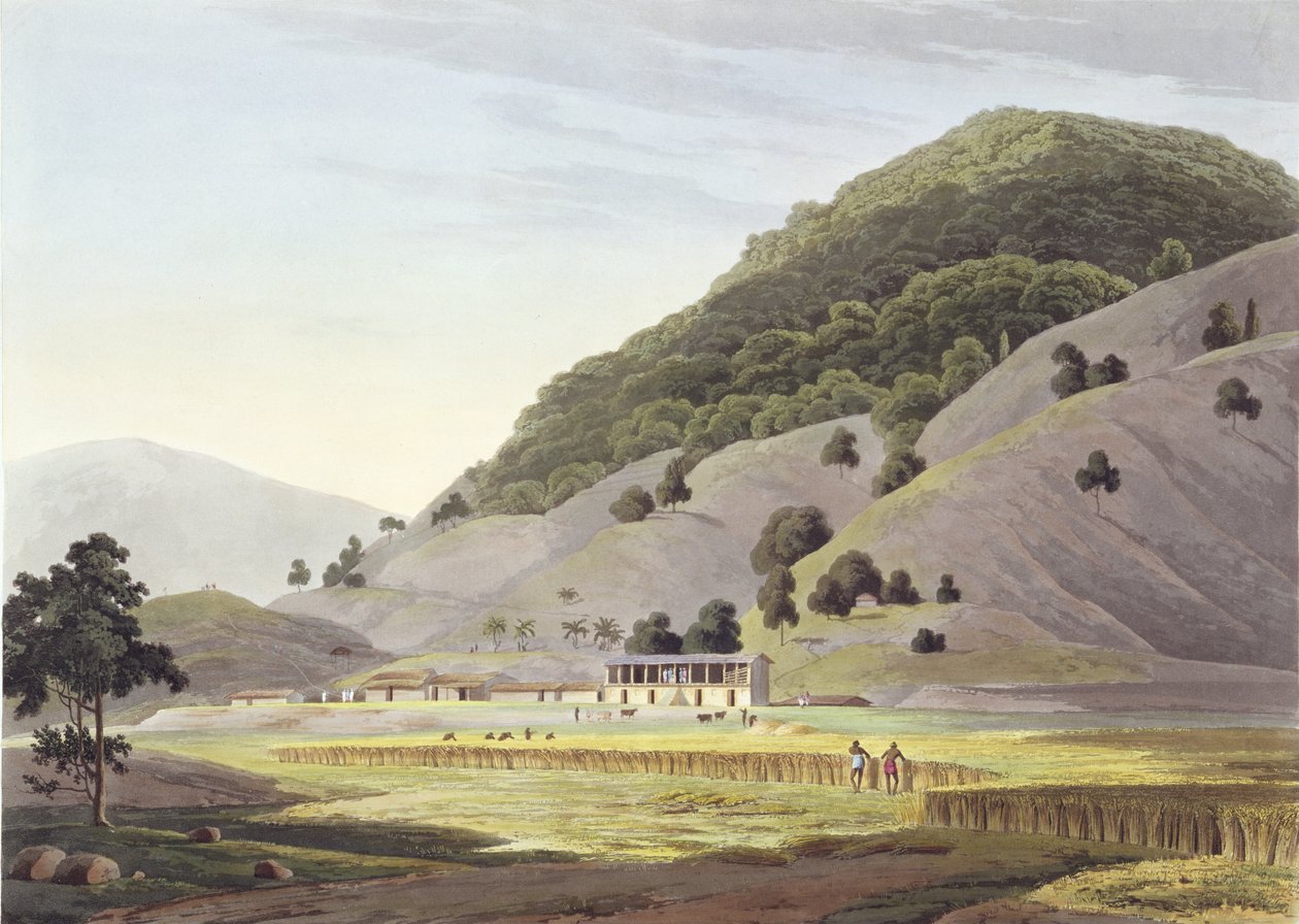 Jugeanor, en las montañas de Sirinagur, lámina 142 de 