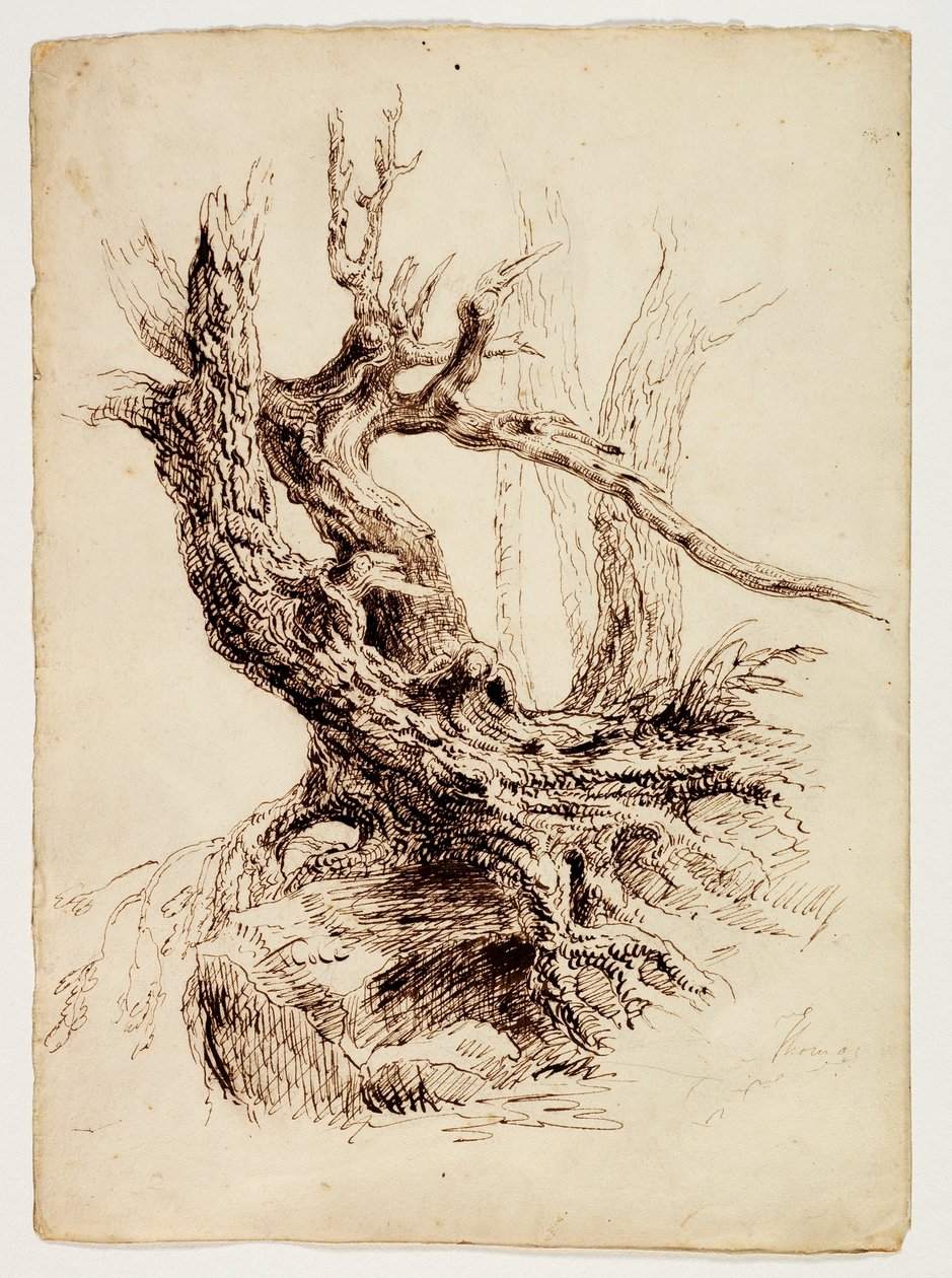 Tronco de árbol retorcido, c.1826 de Thomas Cole