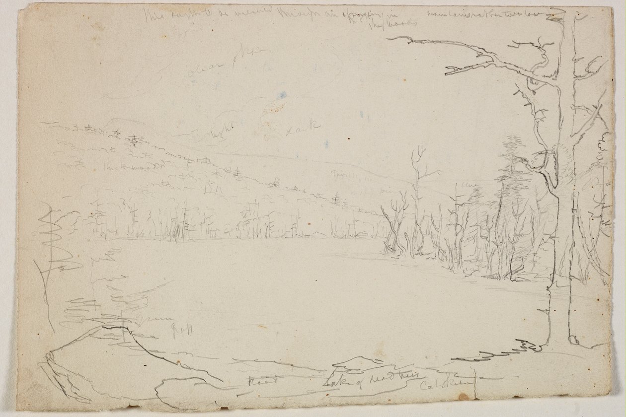 Lago de árboles muertos, Catskill, 1825 de Thomas Cole