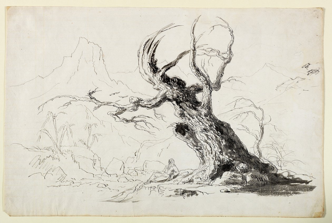 Gran Árbol Nudoso con Hombre Barbudo Sentado Abajo de Thomas Cole