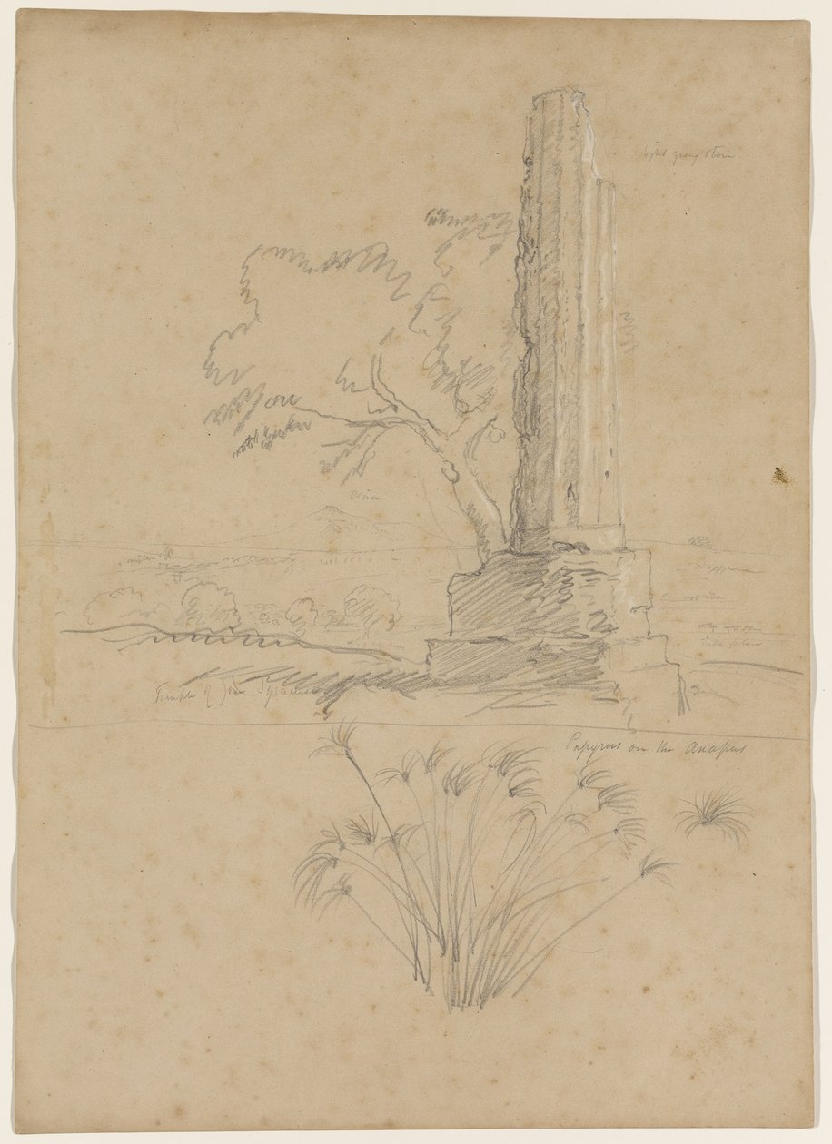 Templo de Zeus y papiro en el río Anapo, cerca de Siracusa, Sicilia, 1842 de Thomas Cole