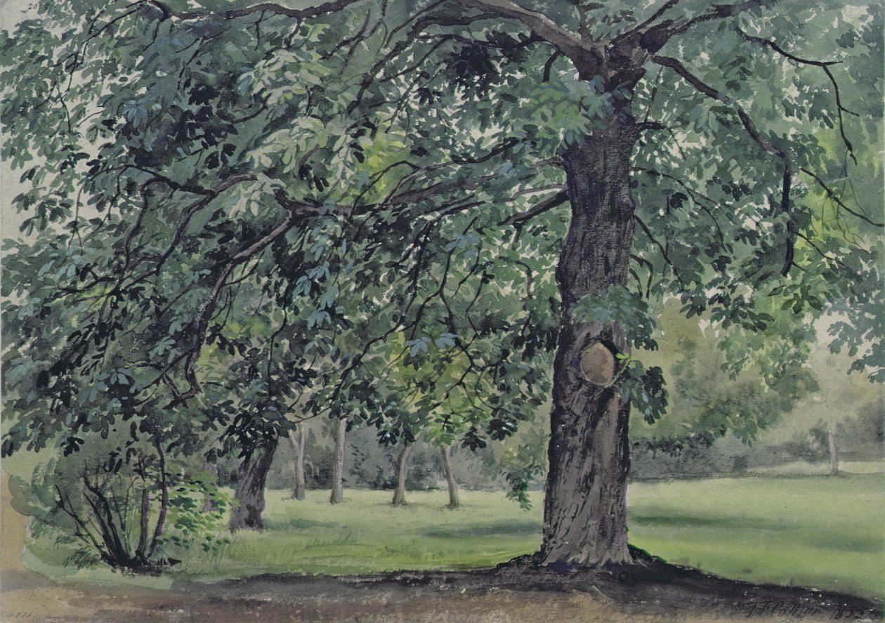 Paisaje con castaño en primer plano de Thomas Collier