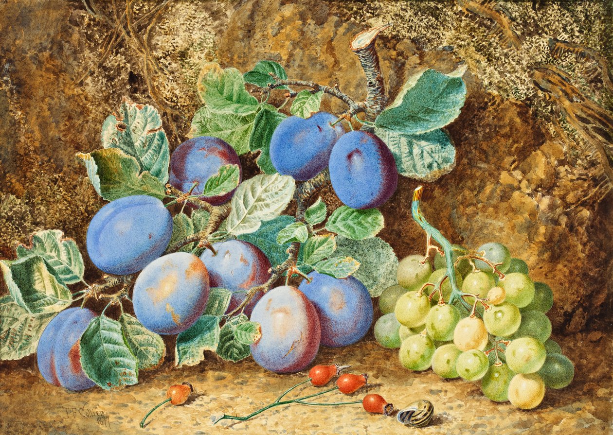 Ciruelas y uvas, 1877 de Thomas Collier