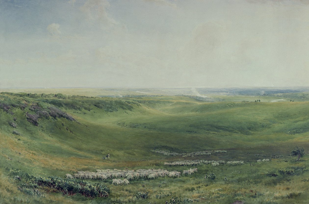 Amplios pastizales, Sussex de Thomas Collier