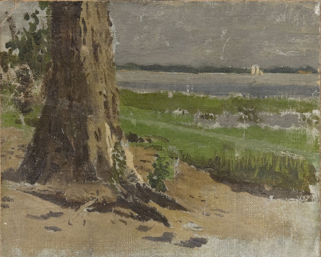 Imagen desconocida de Thomas Eakins