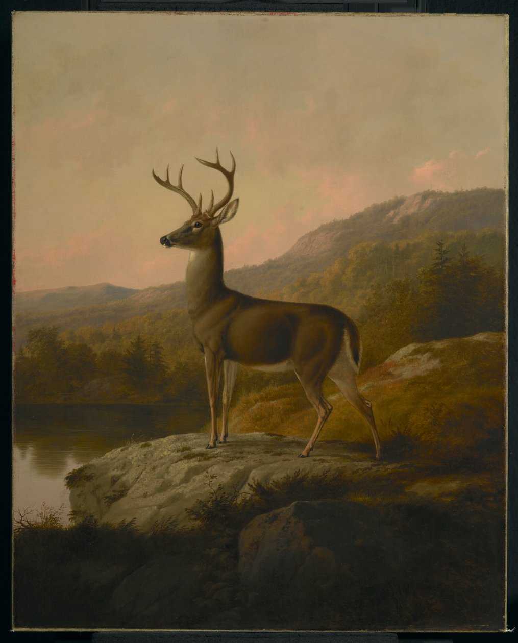 Ciervo, 1855 de Thomas Hewes Hinckley