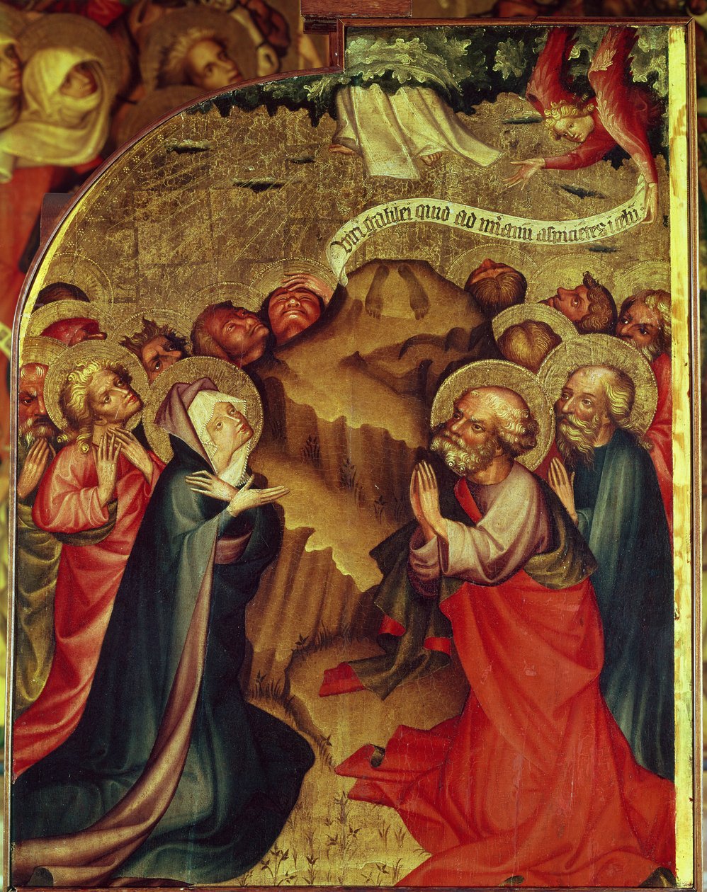 La Ascensión de Thomas Kolozsvari
