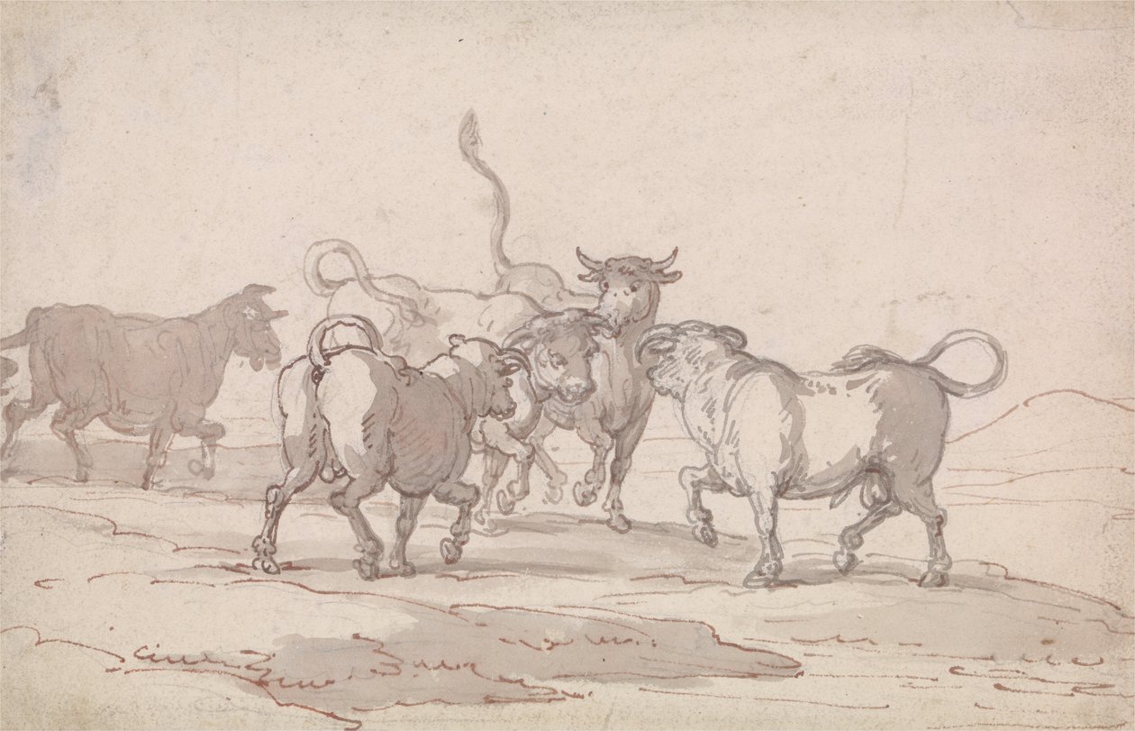 Un grupo de cinco toros a punto de pelear de Thomas Rowlandson