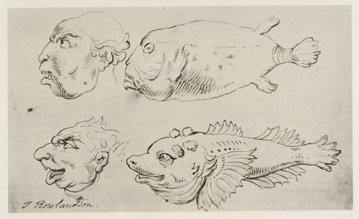 Cabezas antropomórficas de hombres y peces de Thomas Rowlandson