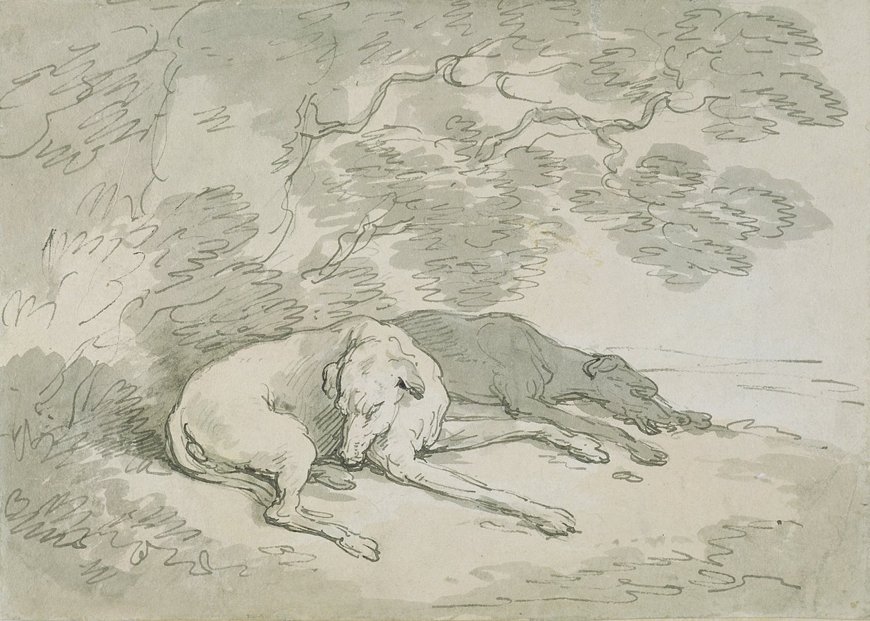 Galgos durmiendo de Thomas Rowlandson