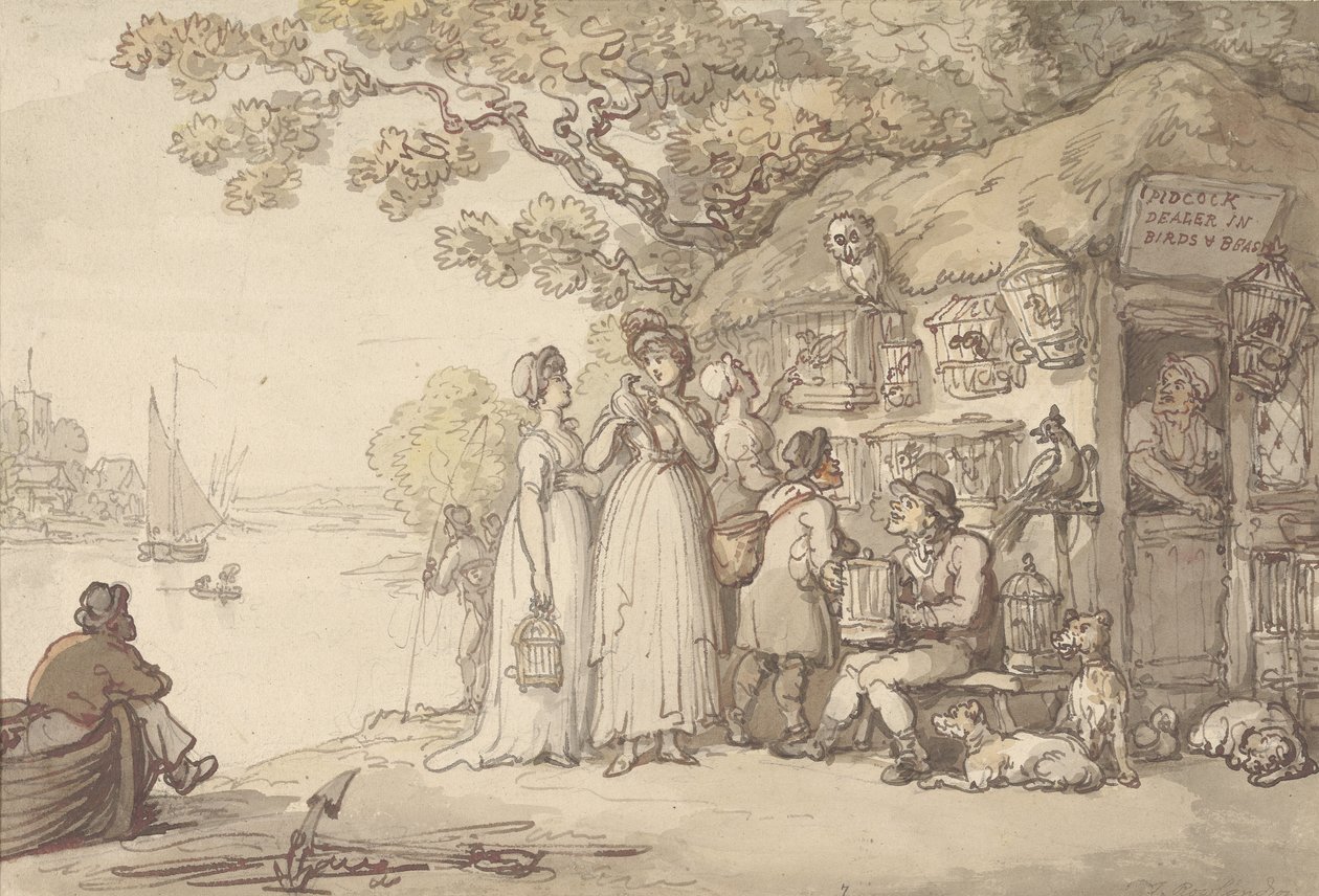 Pidcock, comerciante de aves y bestias de Thomas Rowlandson