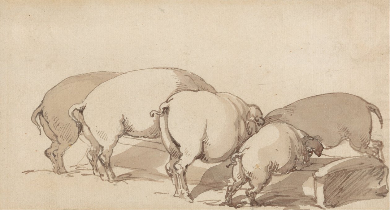 Cerdos en un comedero de Thomas Rowlandson